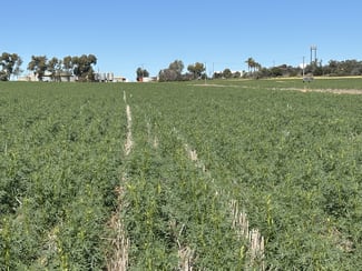 Rural / Farming commercial property sold at 974 Brooks Road Ajana WA 6532 Rural / Farming commercial property sold at 974 Brooks Road Ajana WA 6532