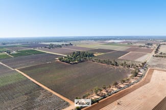 Rural / Farming commercial property sold at 173 Alkira Road Yelta VIC 3505