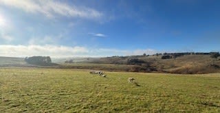 Rural / Farming commercial property for sale at 1185 Golspie Road Golspie NSW 2580