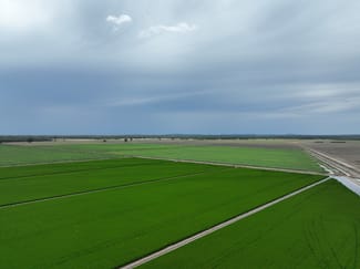 Rural / Farming commercial property for sale at 10755 Sturt Highway Narrandera NSW 2700 Rural / Farming commercial property for sale at 10755 Sturt Highway Narrandera NSW 2700