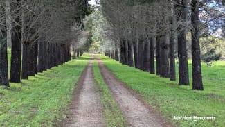 Rural / Farming commercial property sold at Lot 11 Woodbine Road Regans Ford WA 6507