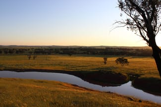 Rural / Farming commercial property for sale at Young NSW 2594