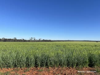 Rural / Farming commercial property for sale at 1650 Dulyalbin Road South Bodallin WA 6424 Rural / Farming commercial property for sale at 1650 Dulyalbin Road South Bodallin WA 6424