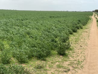 Rural / Farming commercial property for sale at Allotment 92 Perponda Road Karoonda SA 5307