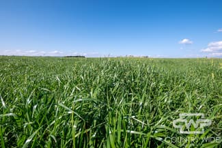 Rural / Farming commercial property sold at 1067 Shannon Vale Road Shannon Vale NSW 2370