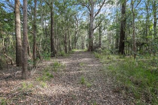 Rural / Farming commercial property for sale at 193 Peach Orchard Road Fountaindale NSW 2258 Rural / Farming commercial property for sale at 193 Peach Orchard Road Fountaindale NSW 2258