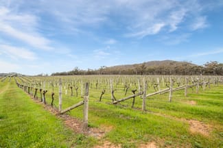 Rural / Farming commercial property sold at 563 Northern Highway Heathcote VIC 3523