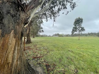Rural / Farming commercial property sold at Merton Vale Road Willung VIC 3847