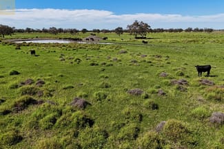 Rural / Farming commercial property sold at 909 Epping Road Pilliga NSW 2388 Rural / Farming commercial property sold at 909 Epping Road Pilliga NSW 2388