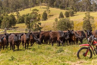 Rural / Farming commercial property sold at 129 Days Road Belbora NSW 2422