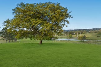 Rural / Farming commercial property sold at 256 Veresdale Scrub School Road Veresdale Scrub QLD 4285 Rural / Farming commercial property sold at 256 Veresdale Scrub School Road Veresdale Scrub QLD 4285
