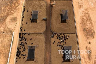 Rural / Farming commercial property for sale at 106/ Hunter Road Nildottie SA 5238 Rural / Farming commercial property for sale at 106/ Hunter Road Nildottie SA 5238