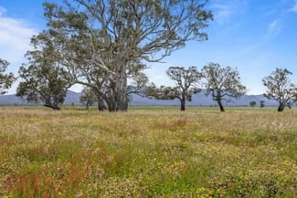 Rural / Farming commercial property for sale at 46A & 46B Andrews Lane Willaura North VIC 3379 Rural / Farming commercial property for sale at 46A & 46B Andrews Lane Willaura North VIC 3379