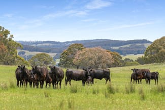 Rural / Farming commercial property sold at 47 Old Trunk Road Bathurst NSW 2795