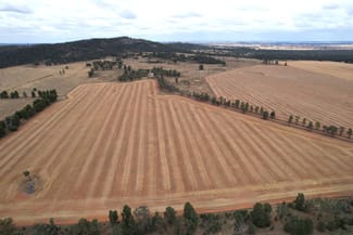 Rural / Farming commercial property sold at 76 Kerrs Lane Caragabal NSW 2810 Rural / Farming commercial property sold at 76 Kerrs Lane Caragabal NSW 2810