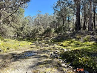 Rural / Farming commercial property for sale at Lots 113 & 114 Kydra Firetrail Greenlands Road Greenlands NSW 2631