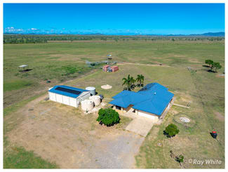 Rural / Farming commercial property sold at 416 Mckenzie Road Alton Downs QLD 4702 Rural / Farming commercial property sold at 416 Mckenzie Road Alton Downs QLD 4702