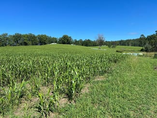 Rural / Farming commercial property for sale at 45 Moores Lane Eungai Creek NSW 2441