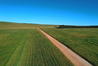 Rural / Farming commercial property for sale at 6062 Coorow-Greenhead Road Warradarge WA 6518