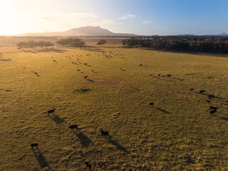 Rural / Farming commercial property sold at 3/43303 South Coast Highway Manypeaks WA 6328 Rural / Farming commercial property sold at 3/43303 South Coast Highway Manypeaks WA 6328