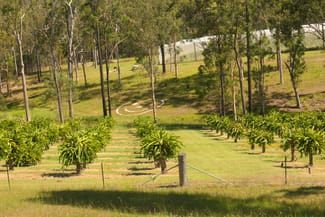 Rural / Farming commercial property for sale at Bulldog NSW 2469 Rural / Farming commercial property for sale at Bulldog NSW 2469