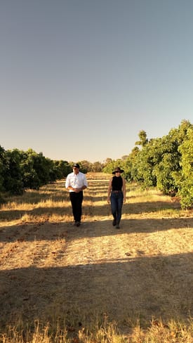 Rural / Farming commercial property for sale at 1770 Beermullah Road West Gingin WA 6503