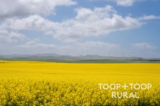 Rural / Farming commercial property for sale at Hardings Road Black Springs SA 5413 Rural / Farming commercial property for sale at Hardings Road Black Springs SA 5413