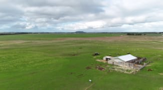Rural / Farming commercial property for sale at 687 Mount Salt Road Mount Schank SA 5291