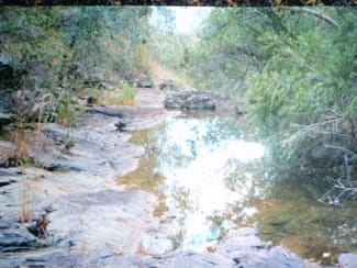 Rural / Farming commercial property sold at Blackbutt QLD 4314 Rural / Farming commercial property sold at Blackbutt QLD 4314