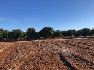 Rural / Farming commercial property for sale at Midlands Road Dongara WA 6525 Rural / Farming commercial property for sale at Midlands Road Dongara WA 6525