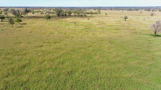 Rural / Farming commercial property for sale at 'Glencoe' 28547 Carnarvon Highway Roma QLD 4455