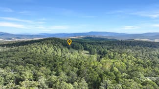 Rural / Farming commercial property for sale at 12F & 12G Minchins Track Bonang VIC 3888