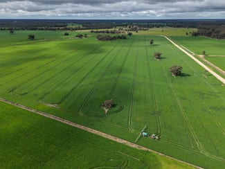 Rural / Farming commercial property for sale at 391 Boxdale Road Deniliquin NSW 2710