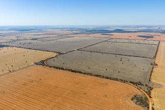 Rural / Farming commercial property for sale at 83 Cornells Road Condobolin NSW 2877 Rural / Farming commercial property for sale at 83 Cornells Road Condobolin NSW 2877