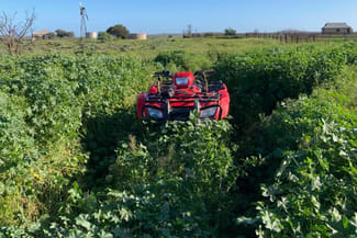 Rural / Farming commercial property for sale at Lot 155 Hogback Lane Warnes SA 5417