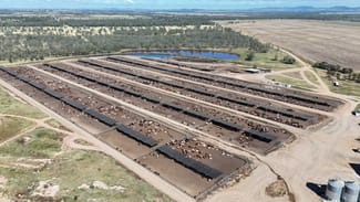 Rural / Farming commercial property for sale at 2687 Dawson Developmental Road Springsure QLD 4722