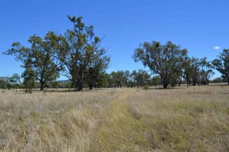 Rural / Farming commercial property for sale at 247 Uandi Road Inglewood QLD 4387 Rural / Farming commercial property for sale at 247 Uandi Road Inglewood QLD 4387