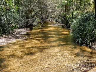 Rural / Farming commercial property for sale at 263/71 Gilmore Road Mareeba QLD 4880 Rural / Farming commercial property for sale at 263/71 Gilmore Road Mareeba QLD 4880