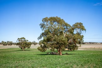 Rural / Farming commercial property for sale at 1089 Pedericks Road Lochaber SA 5271