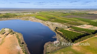 Rural / Farming commercial property for sale at 2050 Kulkyne Way Iraak VIC 3494