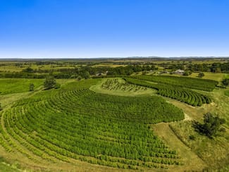 Rural / Farming commercial property for sale at 26 Wybelena Road Wyrallah NSW 2480