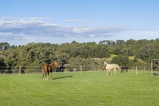 Rural / Farming commercial property for sale at 227 Main Creek Road Main Ridge VIC 3928