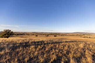 Rural / Farming commercial property for sale at 'Darthula' Mudgee NSW 2850 Rural / Farming commercial property for sale at 'Darthula' Mudgee NSW 2850