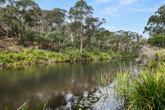 Rural / Farming commercial property for sale at 147 Webbs Road Braidwood NSW 2622
