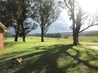 Rural / Farming commercial property for sale at Old Tenterfield Road via Wyan NSW 2469