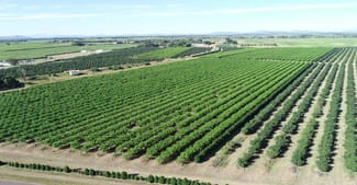 Rural / Farming commercial property for sale at Mcdesme QLD 4807