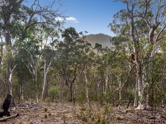 Rural / Farming commercial property for sale at Lot 22 Glen Davis Road Capertee NSW 2846