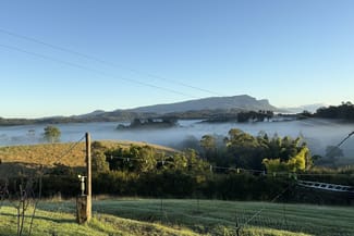 Rural / Farming commercial property for sale at 297 Stanger Road Stony Chute NSW 2480