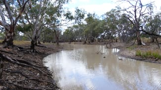 Rural / Farming commercial property for sale at Warren NSW 2824 Rural / Farming commercial property for sale at Warren NSW 2824