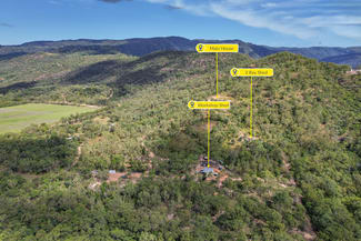 Rural / Farming commercial property for sale at 168 Probert Road Bambaroo QLD 4850 Rural / Farming commercial property for sale at 168 Probert Road Bambaroo QLD 4850